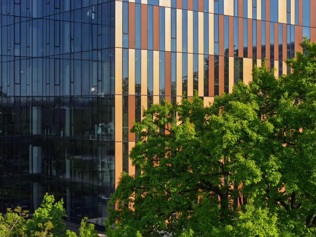 Use of Natural and Modern Materials